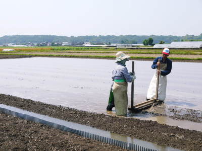 熊本の豊かな自然が育む、惜しまぬ手間ひまで育てられた美味しいお米｢七城米｣数量限定にて発売中!!_a0254656_17505655.jpg