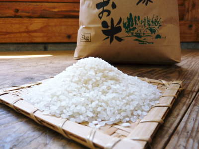 熊本県菊池市「七城米」好評発売中!熊本の豊かな自然が育む惜しまぬ手間ひまで育てられた美味しいお米_a0254656_18232762.jpg