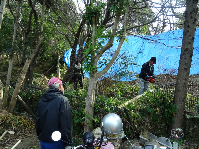 c0108460_17055151.jpg