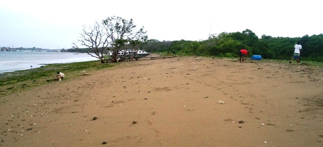 d0083068_10484058.jpg