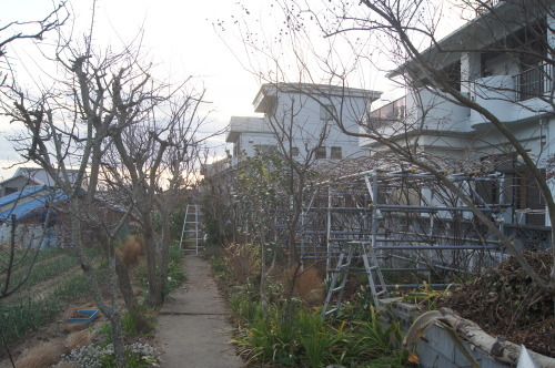 e0181373_20040272.jpg