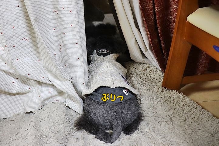 ダイエット成功?!_b0111376_14341452.jpg