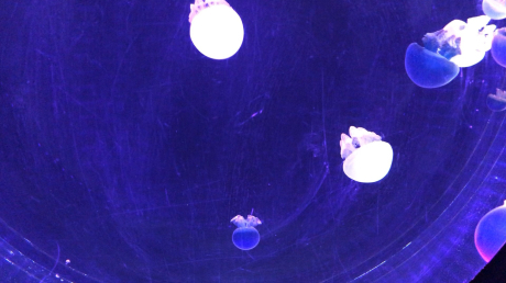 e0355177_17590397.jpg