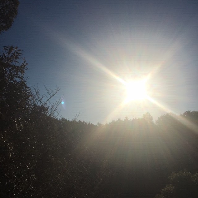 c0344679_15482789.jpg