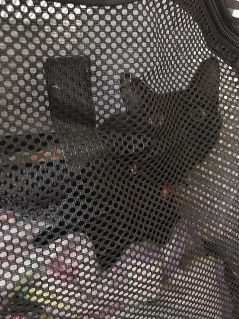 b0377882_23064480.jpeg