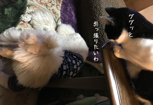 a0216583_23260137.png