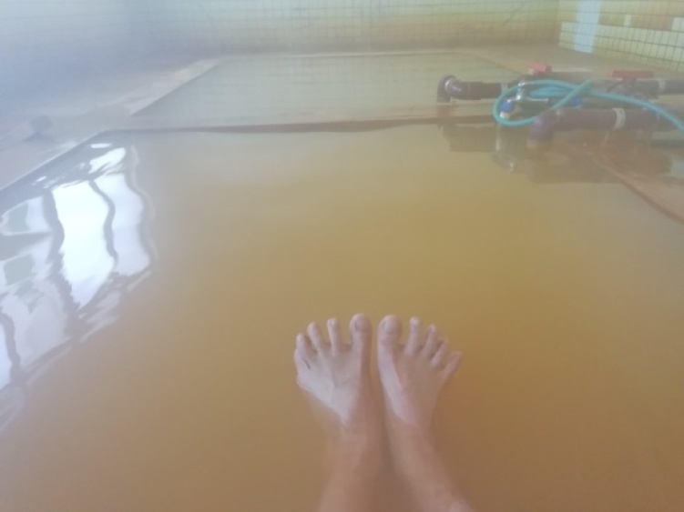 c0212083_17095123.jpg