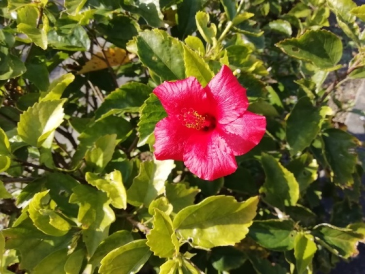 c0212083_17111709.jpg