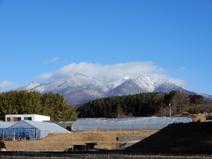 高根町Y田さん邸の薪小屋づくり _a0211886_17285907.jpg