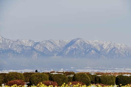 b0329186_08100018.jpg
