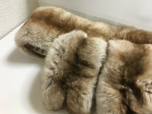 お家遊び_f0347891_23134143.jpeg