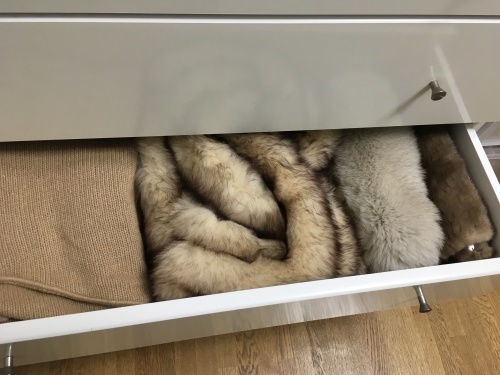 お家遊び_f0347891_23141963.jpeg