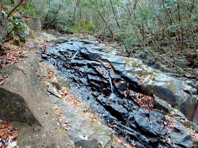 f0325295_13073814.jpg