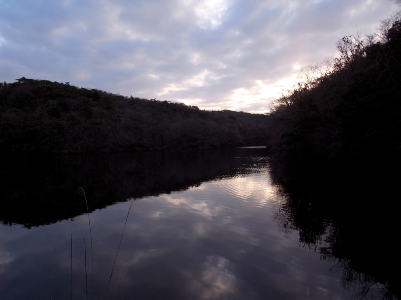 f0325295_13074026.jpg