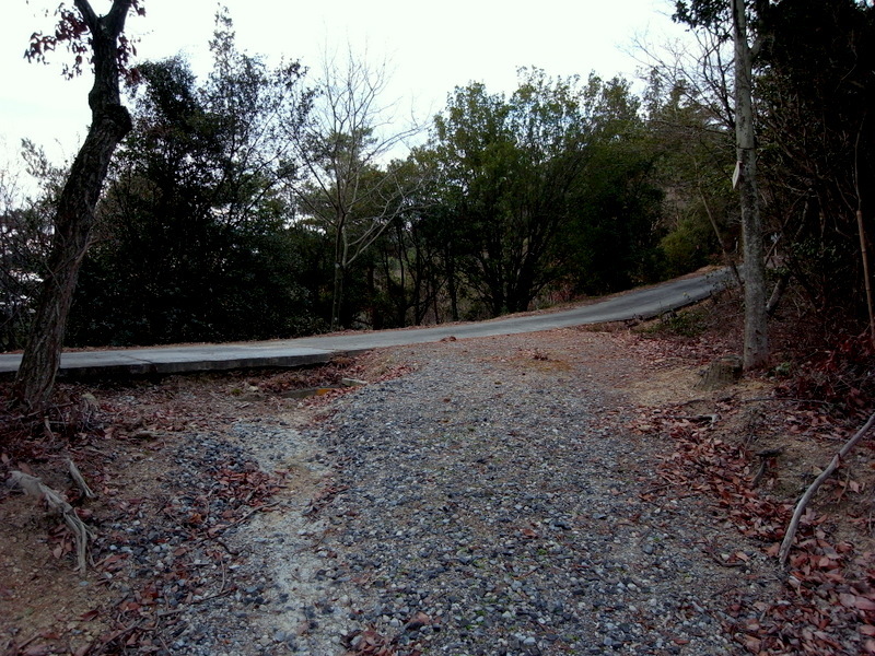 f0325295_13074324.jpg
