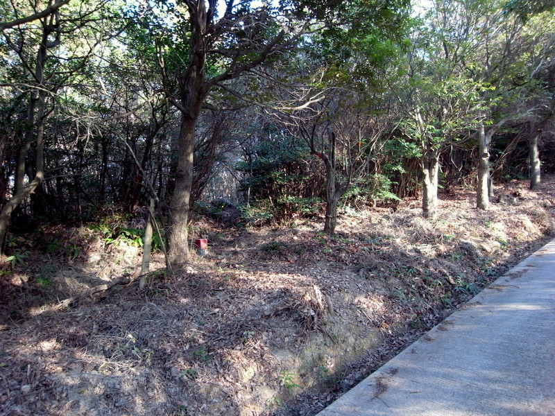 f0325295_13081403.jpg