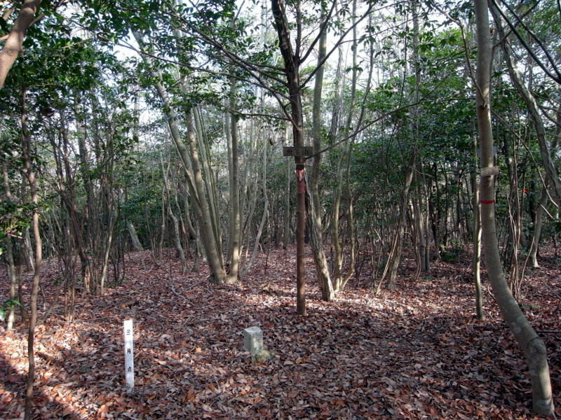f0325295_13081725.jpg