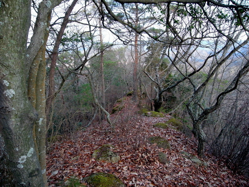 f0325295_13082044.jpg