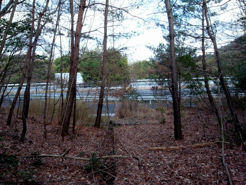 f0325295_13082300.jpg