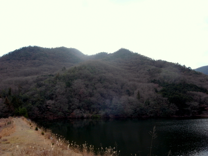 f0325295_13082673.jpg