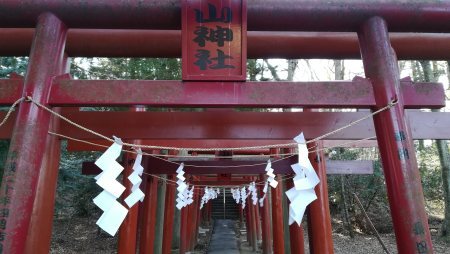 新屋山神社の正月祭_c0193896_17415928.jpg