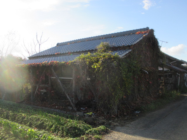 d0240201_15575191.jpg