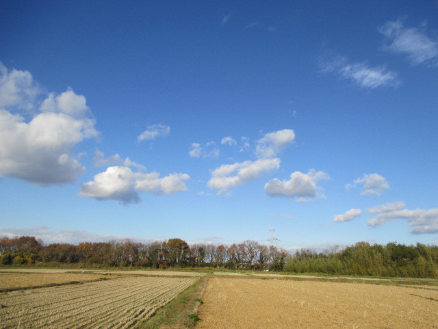 d0240201_15575515.jpg