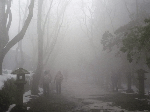 e0371039_19322911.gif