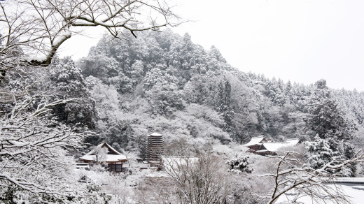 雪の談山神社_a0287347_08425511.jpg