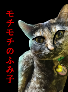 b0151748_14182748.png