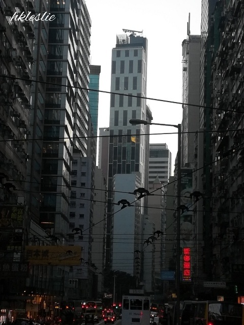 b0248150_08085635.jpg