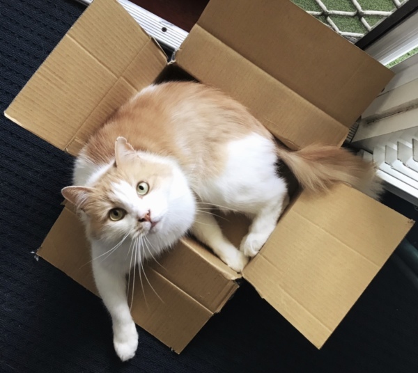 f0304452_23532215.jpeg