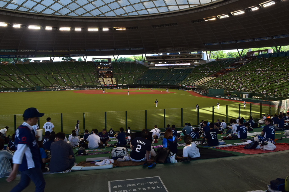 メットライフドーム(西武ライオンズ球場)_a0110756_13542171.jpg