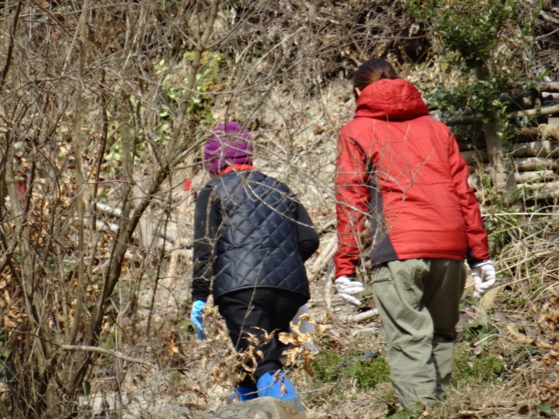 山道周辺の整備＆階段直し・・・孝子の森_c0108460_17312209.jpg