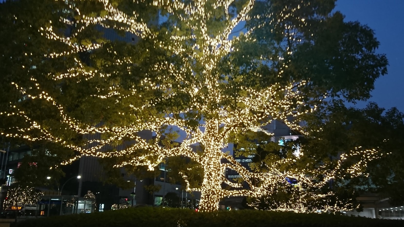 名古屋で講演会_e0249060_19553770.jpg