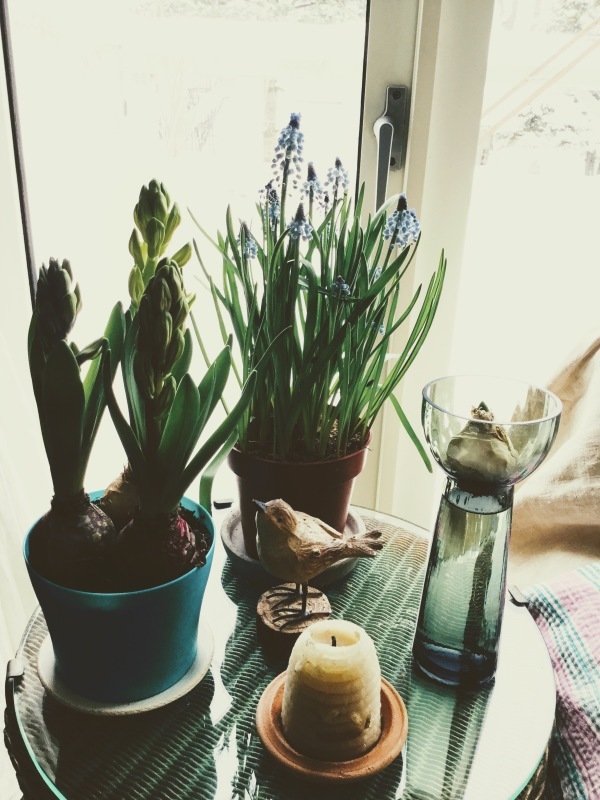 d0320463_10283446.jpeg