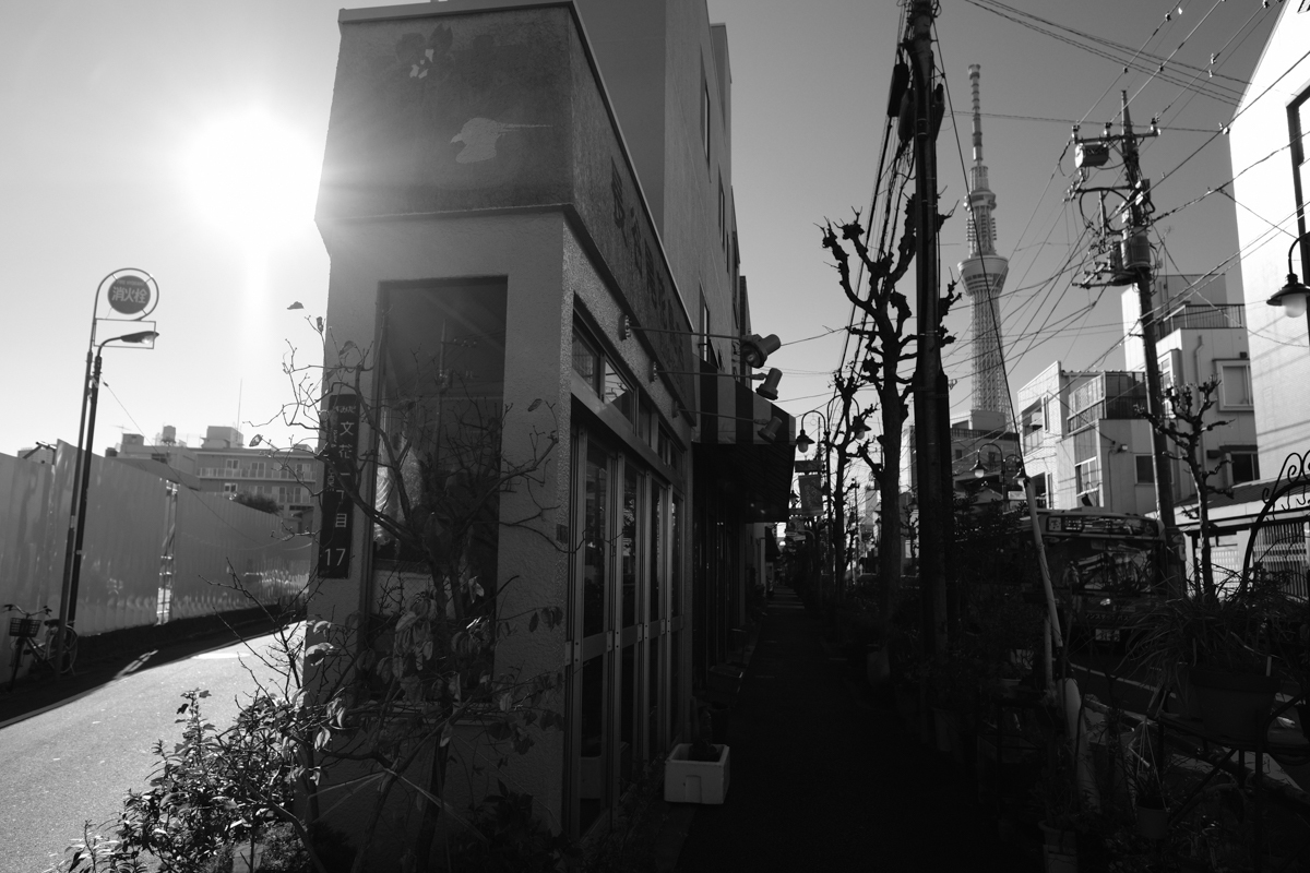 c0084666_18492894.jpg