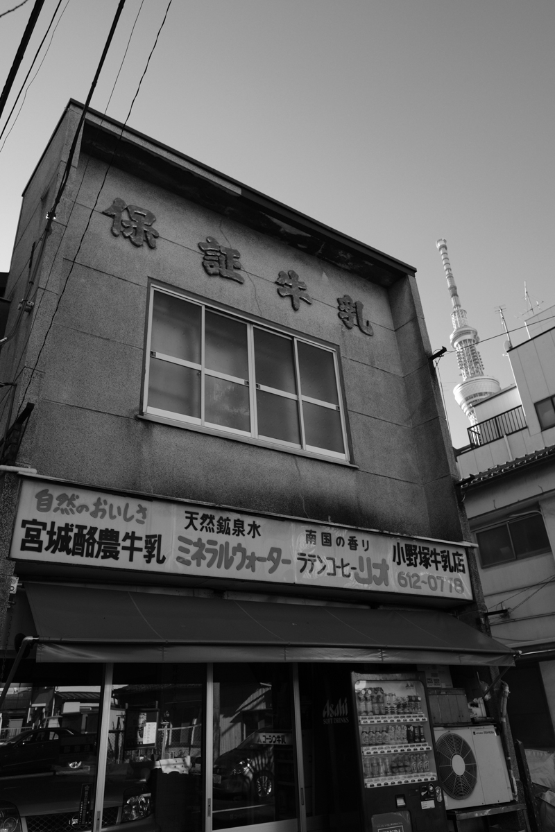c0084666_18492911.jpg