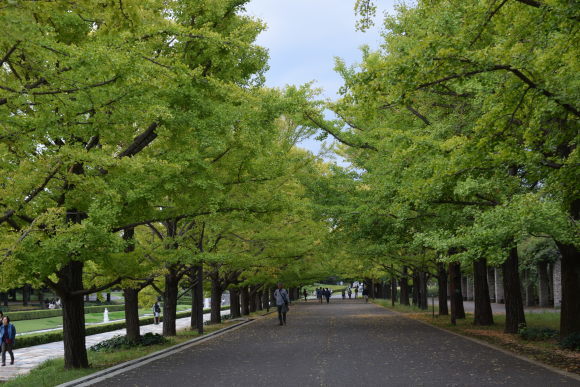 b0242873_23562332.jpg