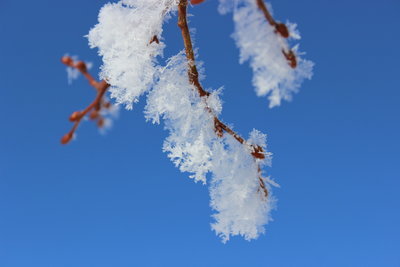 冬の天気_c0353373_21505787.jpg