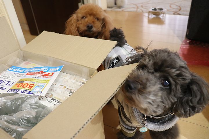 怪我防止対策のタイルマット。_b0111376_15060249.jpg