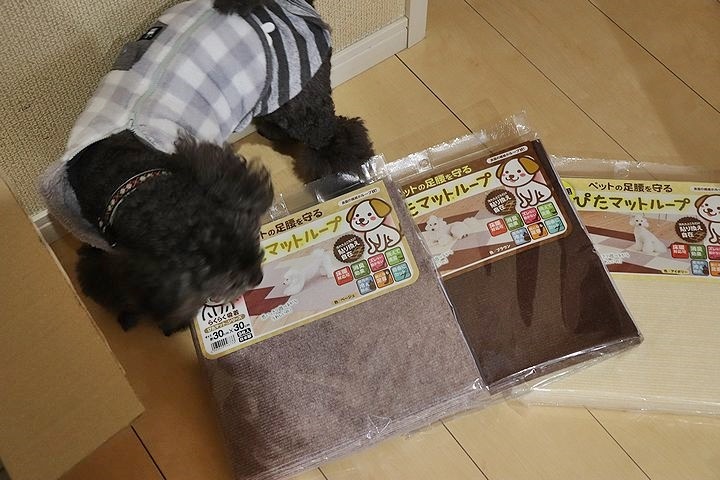 怪我防止対策のタイルマット。_b0111376_15173894.jpg