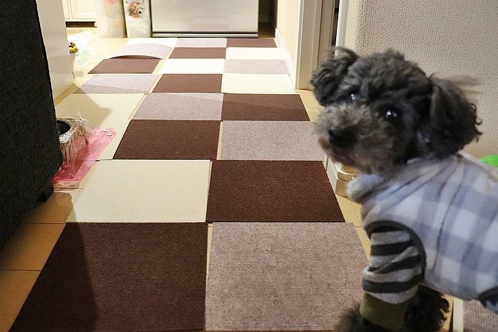 怪我防止対策のタイルマット。_b0111376_15191297.jpg