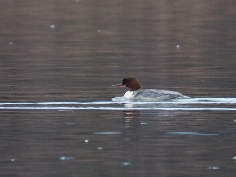 f0372177_16200764.jpg