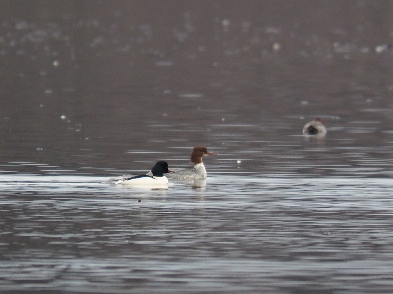f0372177_16201122.jpg