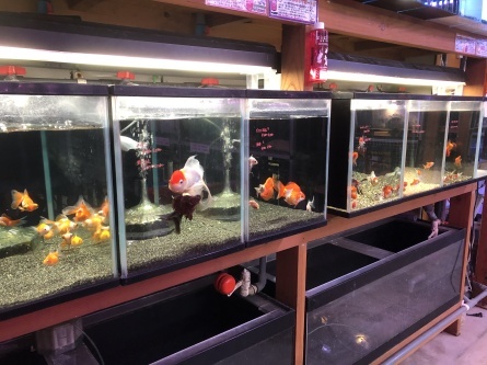 1/25 店長日記_e0173381_17325631.jpg