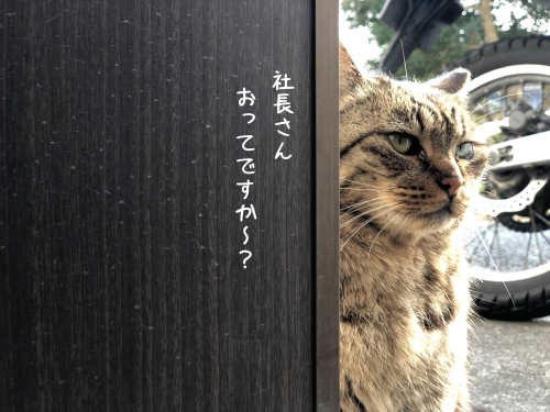 a0216583_23360016.png