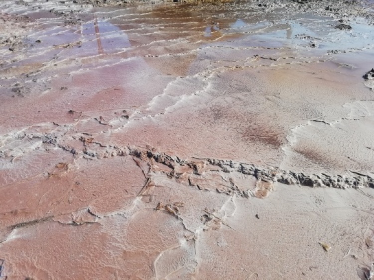 c0212083_15273811.jpg
