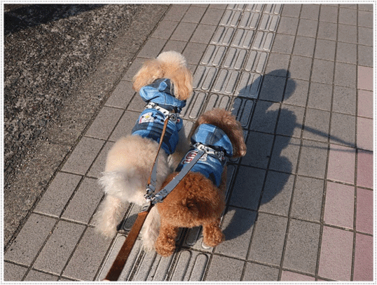 b0175688_00345043.gif
