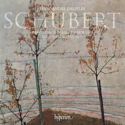 Schubert: P-Sonata#21,D960 Etc@Marc-André Hamelin_b0400788_23433378.jpg